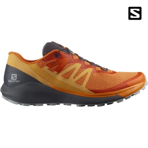 Sapatilhas Trail Running Salomon Sense Ride 4 Masculino Laranja | PT W37421